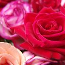 ���� ����� - ���������� ��������!!!, �����������, 56 ��� - ��������� 15 ������ 2010 � ������ ����ۻ