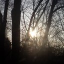 ���� ���������, �����-��������� - ��������� 10 ������ 2009 � ������ �������� ����...�