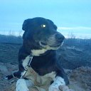 ���� Wasili, ���������, 37 ��� - ��������� 9 ������ 2011