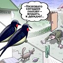 ���� Odessit, ���� - ��������� 28 ������� 2012 � ������ ���� ����������