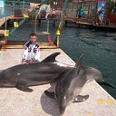 ���� �������, ���������, 49 ��� - ��������� 22 ������� 2012