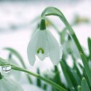 ���� ��������, ������-��-����, 57 ��� - ��������� 18 ������ 2013 � ������ ������ ��������