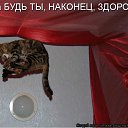 ���� �����, �����-���������, 26 ��� - ��������� 2 ������� 2011 � ������ ������