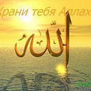 ���� �, �������, 42 ���� - ��������� 8 ��� 2013 � ������ ���� ����������