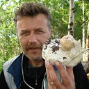 ���� ������, ������, 66 ��� - ��������� 1 ������� 2011 � ������ �� �� ����