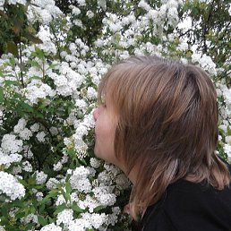 ������, �����-���������, 64 ����