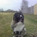 ���� ������, ������ - ��������� 19 ������� 2012 � ������ ���� ����������