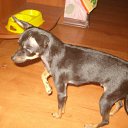 ���� �����, �����-��������� - ��������� 3 ������ 2012 � ������ ���� ����� � ���