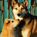 ���� ��������, �������������-����������, 70 ��� - ��������� 8 ������� 2012 � ������ �������