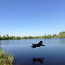 ���� ���������, ������, 52 ���� - ��������� 11 ���� 2013 � ������ �������