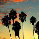 ���� �����, ������ - ��������� 5 ������ 2013 � ������ ������ ��������