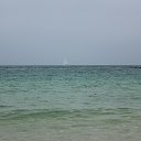 ����������� ����-����-���� �� ������� ���� ����������