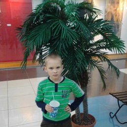 �����, ���������, 23 ����