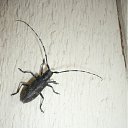  , -, 40  -  16  2011     