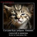 ���� Typuct, �����, 55 ��� - ��������� 10 ������� 2011 � ������ �������