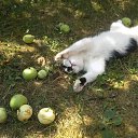 ,, ����� � ��������,, �� ������� ���� ������� ����� -����!�