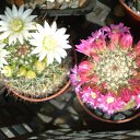 ���� ������, ������, 69 ��� - ��������� 5 ������ 2013 � ������ ���� ��������� ����������