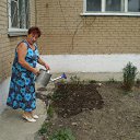 ���� �����, ��������� - ��������� 10 ������� 2012