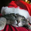 ���� !!!������!!!, �����������, 53 ���� - ��������� 21 ������� 2012 � ������ ���� ����������