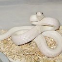 ���� ������, ������� - ��������� 20 ������� 2012 � ������ ������ ��������