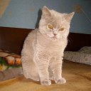 ���� �������, �����, 35 ��� - ��������� 7 ������� 2009 � ������ ���� �������� ��������