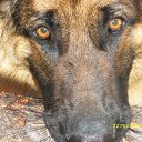  ,  -  18  2012      Ȼ