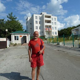 ���������, ����, 65 ���