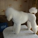 ���� �����, �������, 68 ��� - ��������� 4 ������� 2012 � ������ �������