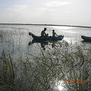 ���� ���������, ������, 63 ���� - ��������� 25 �������� 2011 � ������ ���� ����������