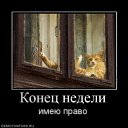  Nataly, , 52  -  18  2010   Funny Cats