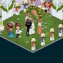 ���� ���������, ��������, 49 ��� - ��������� 3 ����� 2013 � ������ �Tropikania�