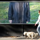 ���� ������, ������, 62 ���� - ��������� 22 ���� 2009 � ������ ���� �������