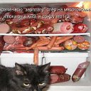 ���� �����, ������, 49 ��� - ��������� 27 ������ 2012 � ������ ���������