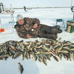 ���� ��������, ����-����������� - ��������� 20 ����� 2012