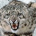 ���� �������, �������-��������� - ��������� 21 ������� 2010 � ������ ���������