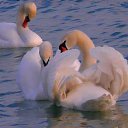 ���� �����, ����� - ��������� 29 ������ 2013 � ������ �������