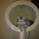 ���� �������, ����, 45 ��� - ��������� 19 �������� 2012 � ������ ���� ������� ����-������)))�