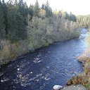  Serzh Van Der Maaremaan,  -  9  2009    