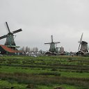 ���� Tina, �����-���������, 66 ��� - ��������� 30 ������� 2011 � ������ ���� ������� ����������