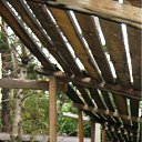 ���� ������, ����, 41 ��� - ��������� 7 ������� 2010 � ������ �������...�