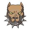 ���� ������, �����-���������, 37 ��� - ��������� 19 ��� 2009 � ������ ���� ����������