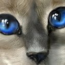 � ����� �������� ���� vk.com/fotiko �� ������� ���� ������� ������