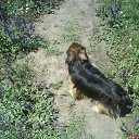 ���� ������, �����, 47 ��� - ��������� 23 ������� 2010 � ������ �PetLove�