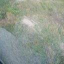 ������� ��� ������ �� ������� �������