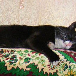 ���� ������, �������, 54 ���� - ��������� 24 ���� 2012