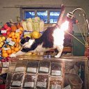 ����� ���� �������� �� ������! �� ������� ���� ������� �����