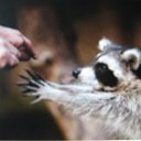 ���� ���, ������ - ��������� 10 ������ 2010 � ������ ������ �����