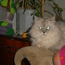 ���� �����, �������� - ��������� 27 �������� 2011 � ������ ���