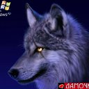  Alla, , 49  -  24  2011    