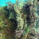 ���� �����, ���������, 48 ��� - ��������� 21 ������� 2012 � ������ ���� ����������